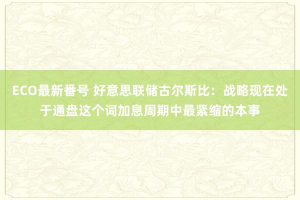 ECO最新番号 好意思联储古尔斯比：战略现在处于通盘这个词加息周期中最紧缩的本事