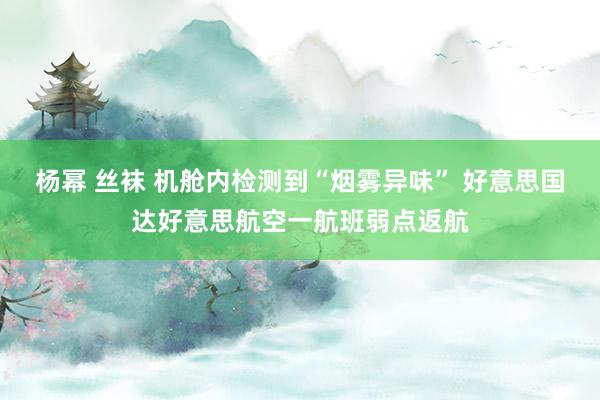 杨幂 丝袜 机舱内检测到“烟雾异味” 好意思国达好意思航空一航班弱点返航