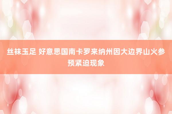 丝袜玉足 好意思国南卡罗来纳州因大边界山火参预紧迫现象