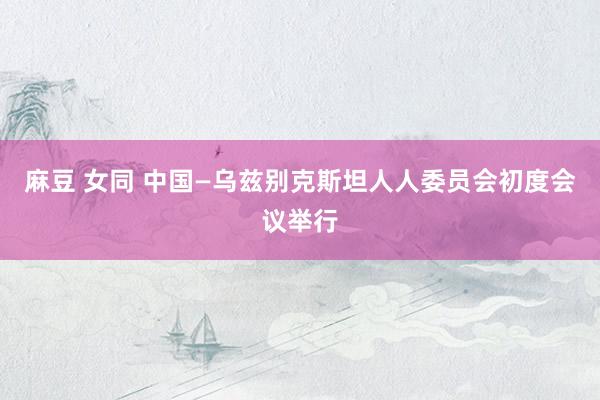 麻豆 女同 中国—乌兹别克斯坦人人委员会初度会议举行