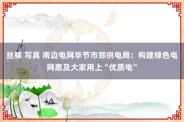 丝袜 写真 南边电网毕节市郊供电局：构建绿色电网惠及大家用上“优质电”