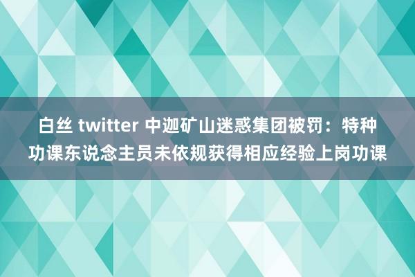 白丝 twitter 中迦矿山迷惑集团被罚：特种功课东说念主员未依规获得相应经验上岗功课