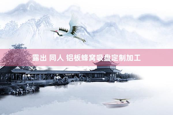 露出 同人 铝板蜂窝吸盘定制加工